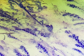 N 044A